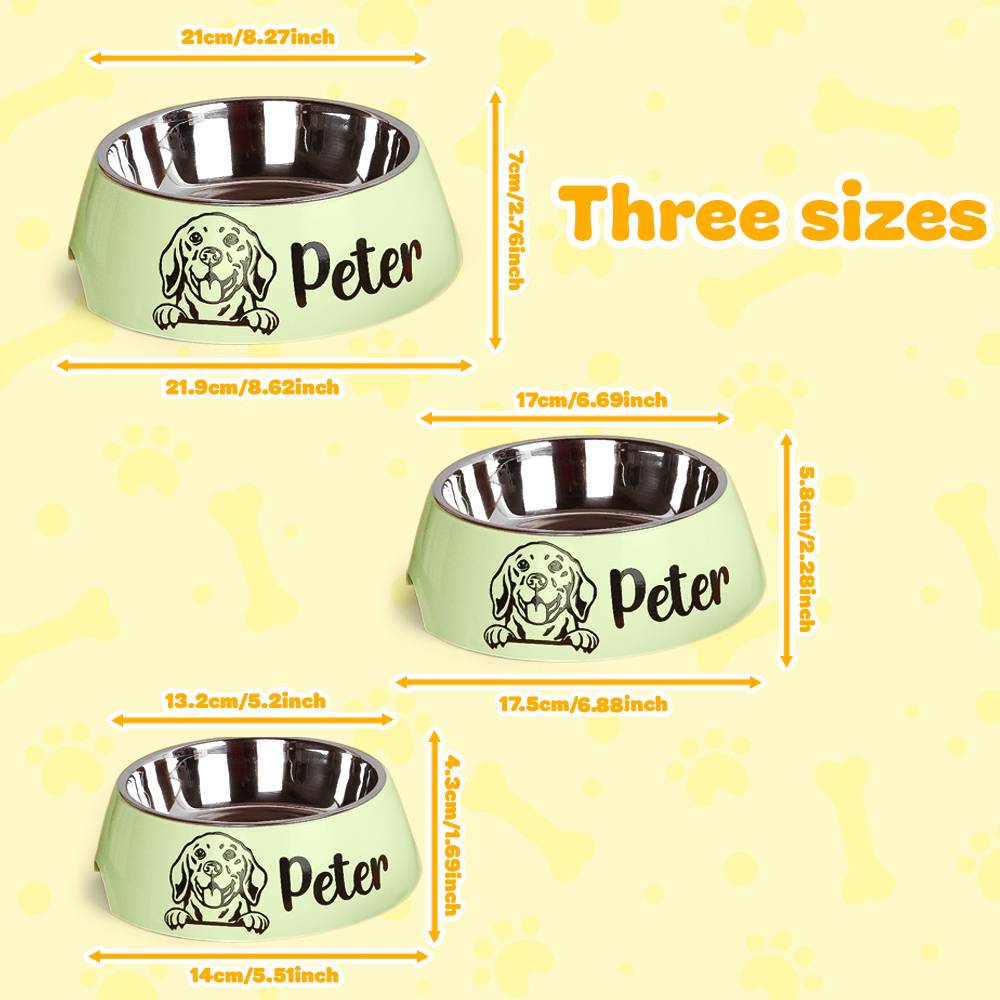 Personalized Pet Bowl Stainless Steel Dog Food Water Bowl Feeding Supplies Gift for Pet Owner