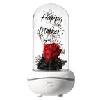Custom Eternal Flower Aromatherapy Lamp Essential Oil Colorful Night Light