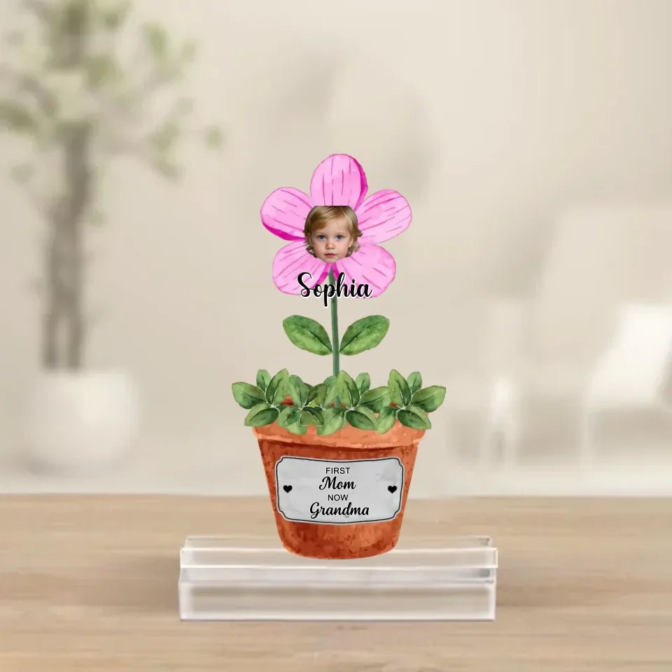 Grandma Garden - Personalized Custom Acrylic Plaque With Base 731312 - DiyGiftly