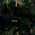 Have Yourself A Very Meowy Christmas - Cat Personalized CustomOrnament - Acrylic Custom Shaped - Christmas Gift For Pet Owners,Pet Lovers 671234 - 670673 - DiyGiftly