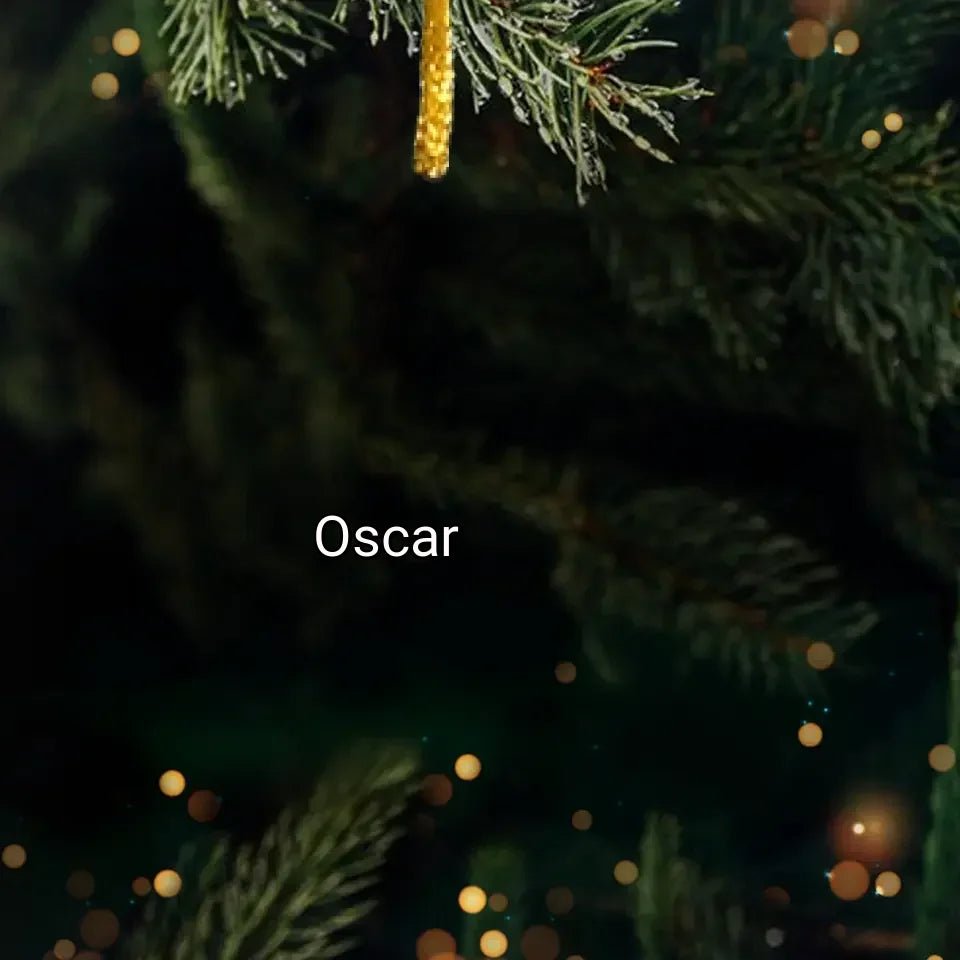 Have Yourself A Very Meowy Christmas - Cat Personalized CustomOrnament - Acrylic Custom Shaped - Christmas Gift For Pet Owners,Pet Lovers 671234 - 670673 - DiyGiftly