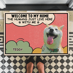 Humans Just Live Here Photo - Personalized Custom Doormat 692001 - DiyGiftly