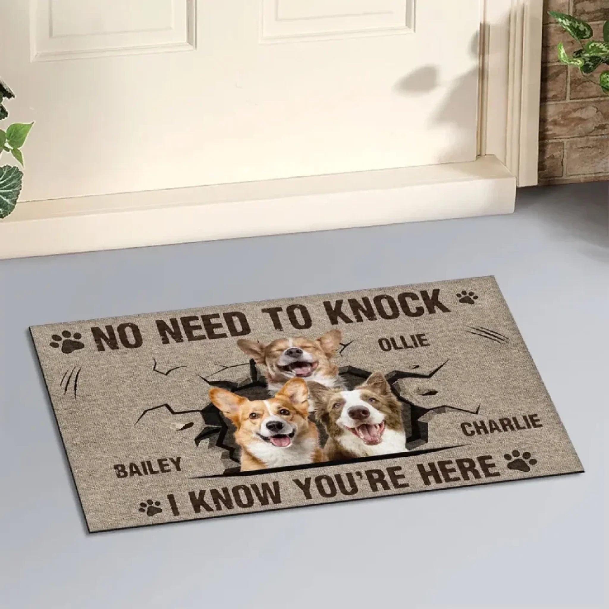I Know You Are Here - Personalized Custom Doormat 689597 - DiyGiftly