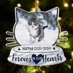 Acrylic Ornament Loss of Cat Gift for Christmas Remembrance Lightweight Lasting Finish