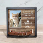 personalized cat collar holder frame