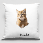 cat sympathy gift photo pillow
