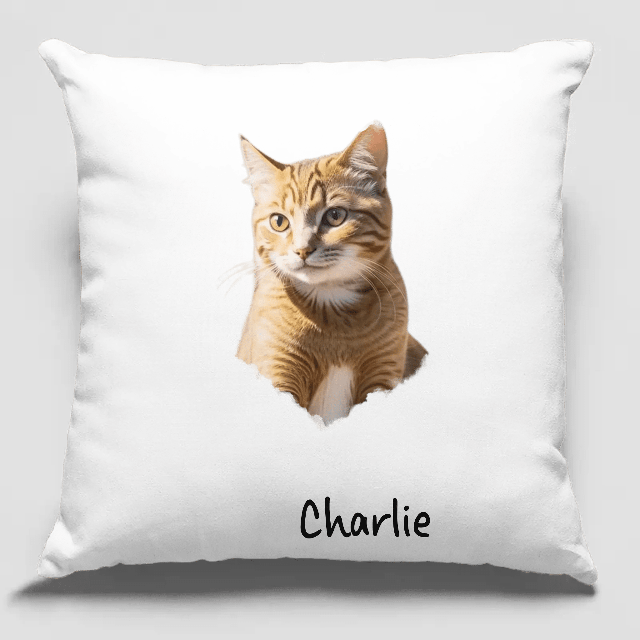 cat sympathy gift photo pillow