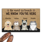 No Need To Knock We Know You Are Here - Personalized Custom Doormat 688555 - DiyGiftly