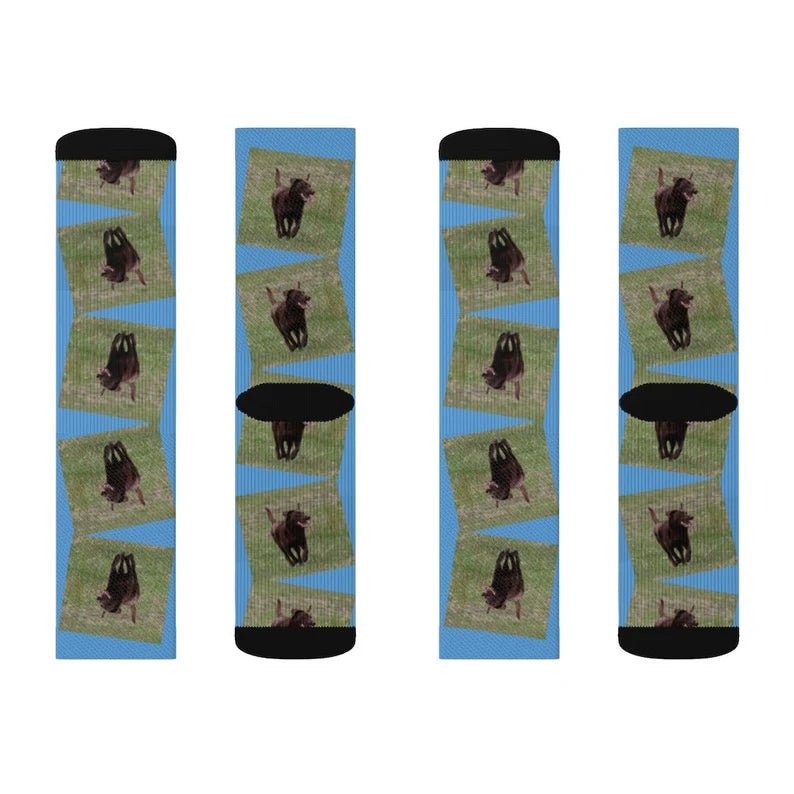 fathers day surprise socks for dad inspired by personalize family photo sock custom photo socks memory gift for