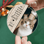 Christmas Ornament Personalized Cat Photo Loss of Cat Gift for
