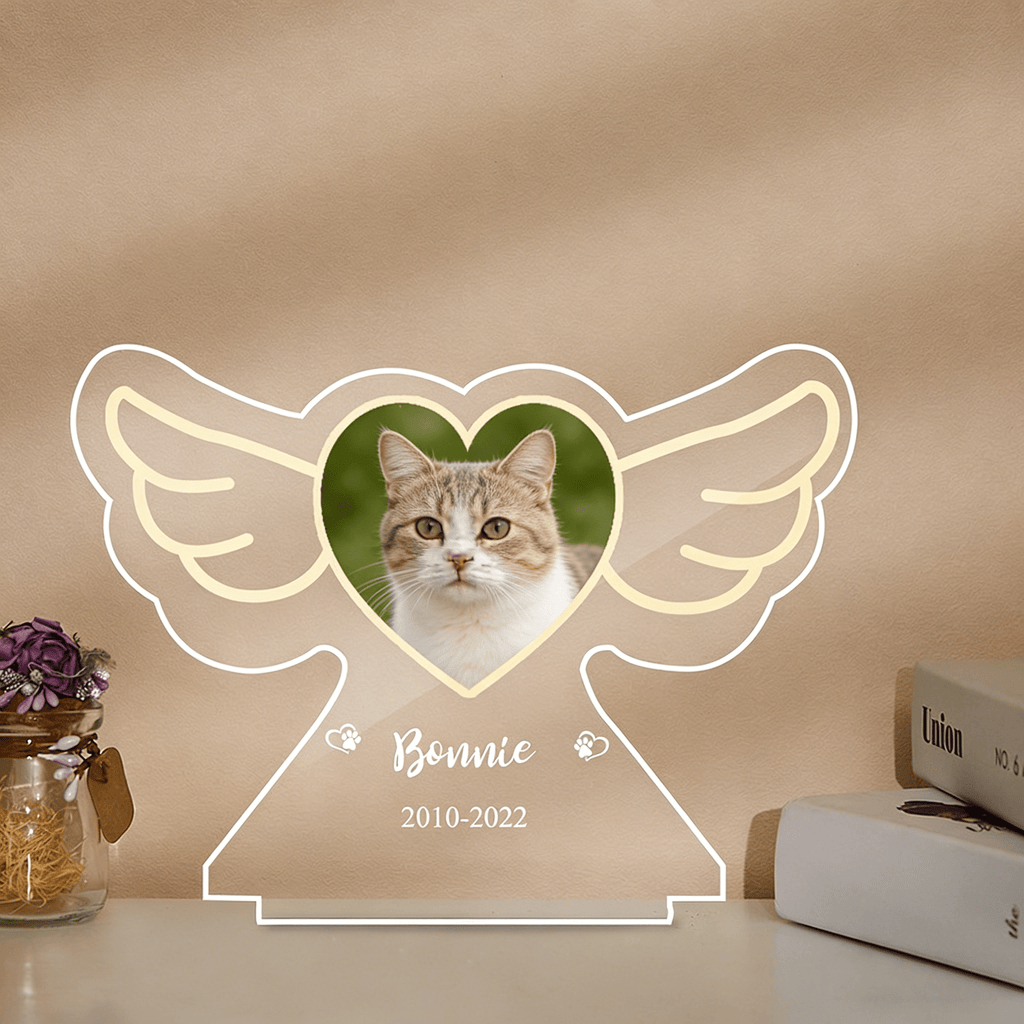 gentle nighttime comfort custom photo and name cat led night light loss of cat gift