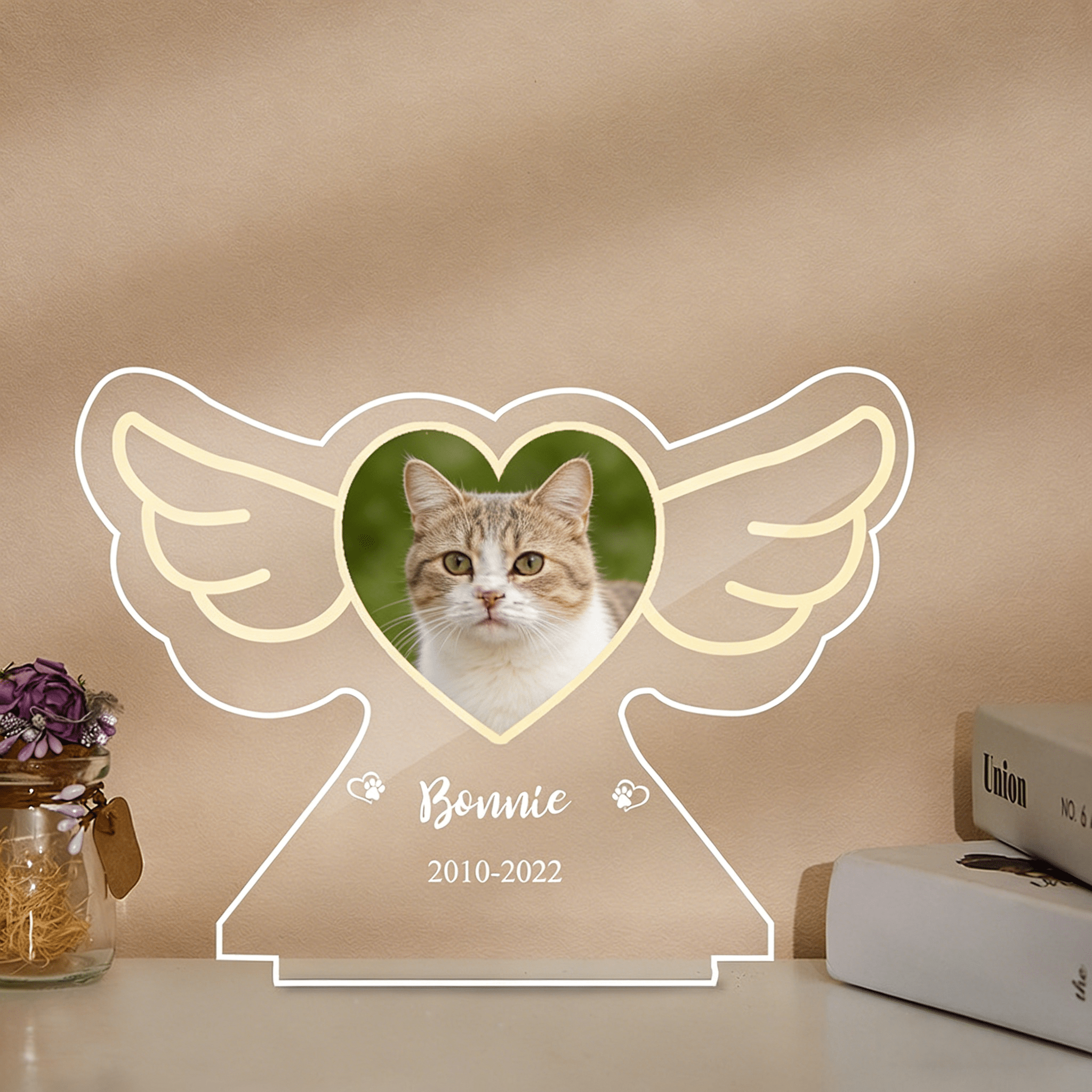 gentle nighttime comfort custom photo and name cat led night light loss of cat gift