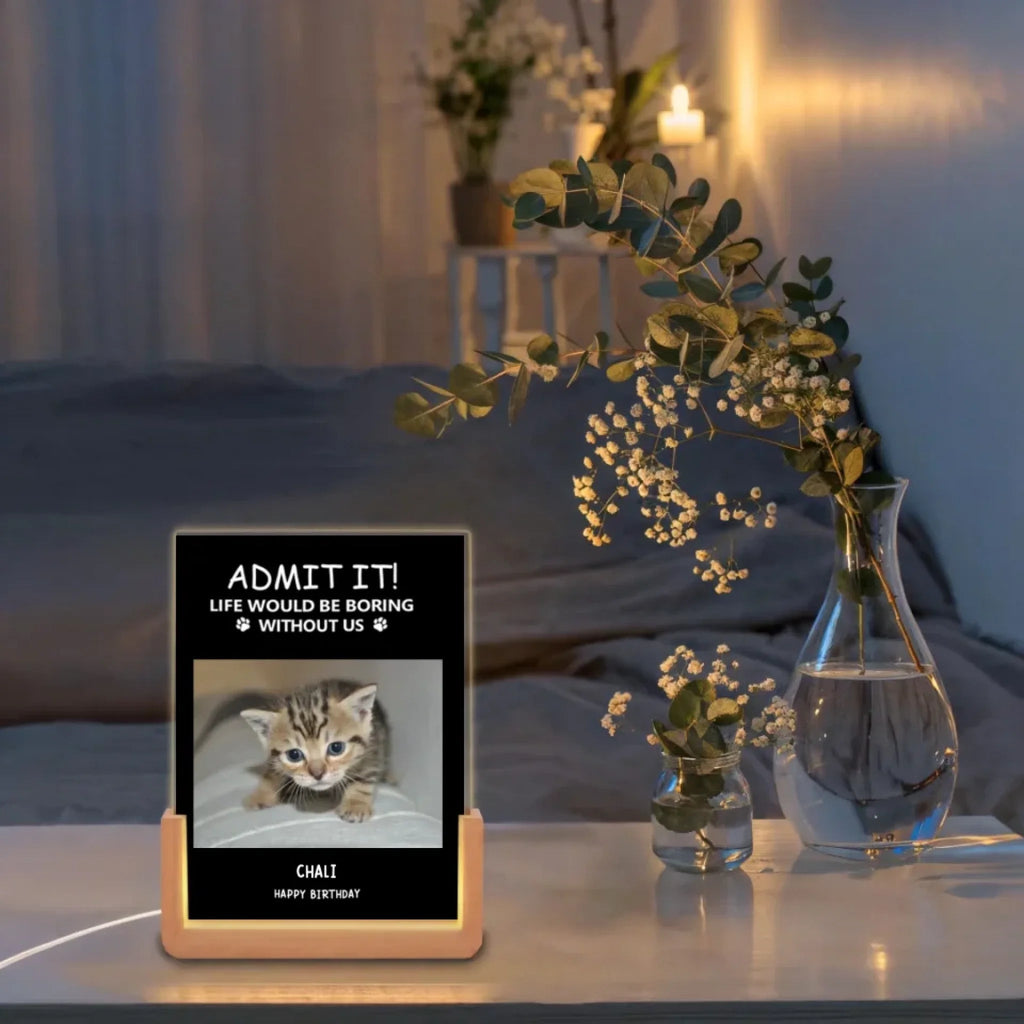 Personalized Christmas LED Night Plauqe - Funny Pet - Themed Gift 716469 - DiyGiftly