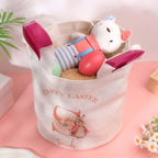Personalized Cute Peter Rabbit Bunny Ears Bucket Bag with Initial and Name Easter Egg Hunt Basket Birthday Party Favors Gift for Kids - DiyGiftly