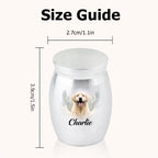 Personalized Design Pet Urn Stainless Steel Ashes