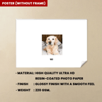 Personalized Upload Photo Dog Memorial In Loving Memory Wall Decor Sympathy Gift Ideas For Loss of Pet Poster 715613 - 715726 - DiyGiftly