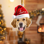 Pet Funny Christmas Face - Personalized Pet Photo Ornament 681085 - 681435 - DiyGiftly