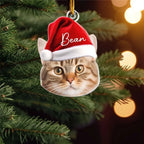 Pet Funny Christmas Face - Personalized Pet Photo Ornament 681085 - 681435 - DiyGiftly