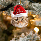 Pet Funny Christmas Face - Personalized Pet Photo Ornament 681085 - 681435 - DiyGiftly