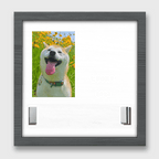 Personalized Pet Portrait Memorial Sign and Collar Frame Photo Keepsake