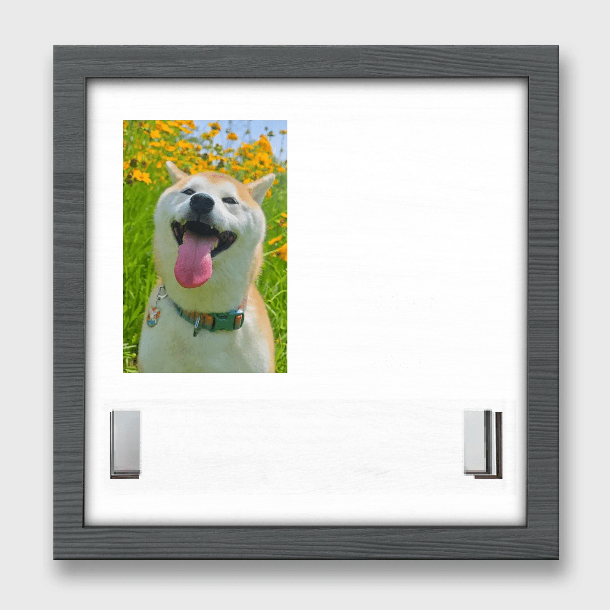 Personalized Pet Portrait Memorial Sign and Collar Frame Photo Keepsake