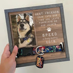 Personalized Pet Portrait Memorial Sign and Collar Frame for Pet Loss Remembrance