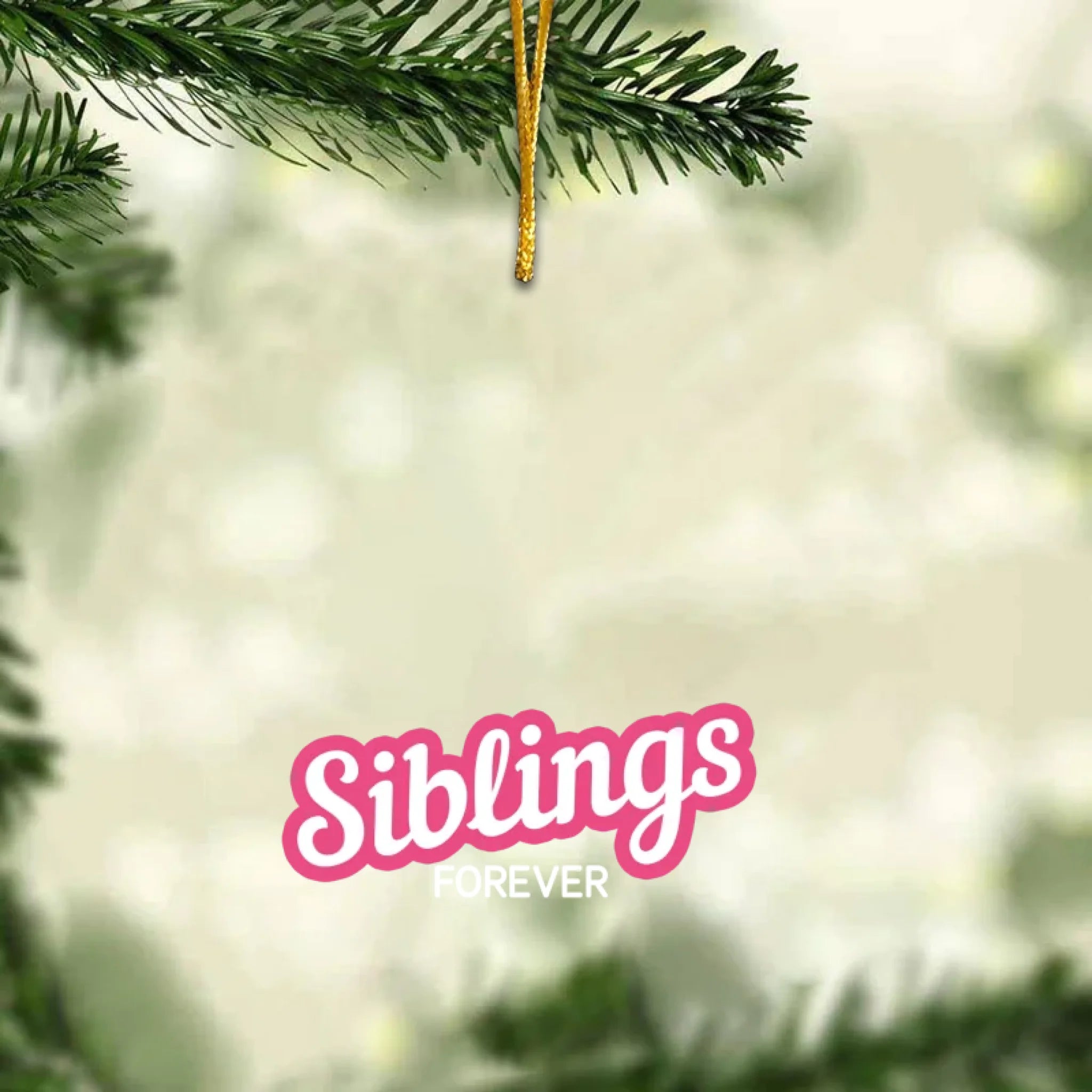 Siblings Toy Box - Christmas Custom Gift - Personalized Acrylic Ornament 1047964 - DiyGiftly