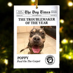 The Meow Times, The Dog Times - Troublemaker Of The Year - Personalized Acrylic Photo Ornament 721808 - DiyGiftly