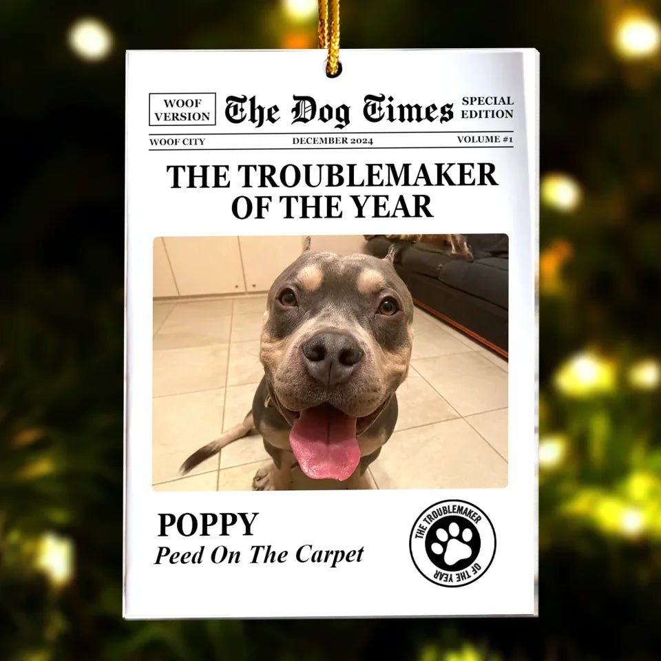 The Meow Times, The Dog Times - Troublemaker Of The Year - Personalized Acrylic Photo Ornament 721808 - DiyGiftly