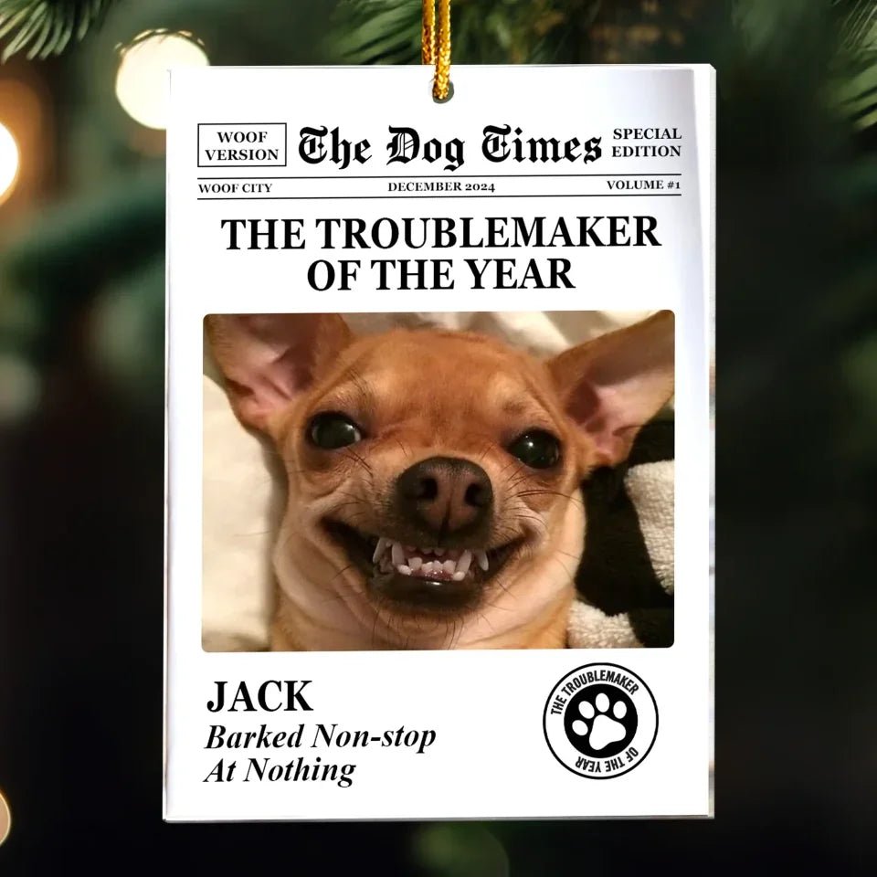 The Meow Times, The Dog Times - Troublemaker Of The Year - Personalized Acrylic Photo Ornament 721808 - DiyGiftly