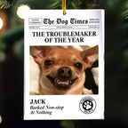 The Meow Times, The Dog Times - Troublemaker Of The Year - Personalized Acrylic Photo Ornament 721808 - DiyGiftly