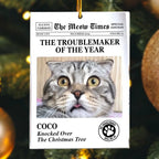 The Meow Times, The Dog Times - Troublemaker Of The Year - Personalized Acrylic Photo Ornament 721808 - DiyGiftly