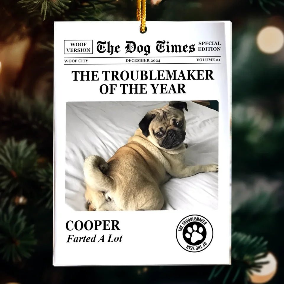 The Meow Times, The Dog Times - Troublemaker Of The Year - Personalized Acrylic Photo Ornament 721808 - DiyGiftly