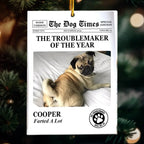 The Meow Times, The Dog Times - Troublemaker Of The Year - Personalized Acrylic Photo Ornament 721808 - DiyGiftly