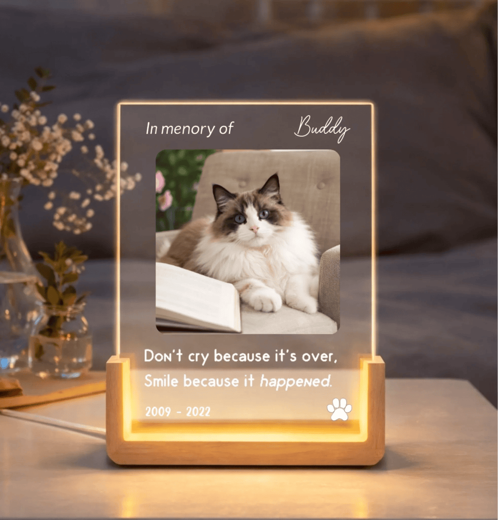LED U Monochromatic light LED Memorial Plaque Custom Cat Portrait Soft Bedroom Glow