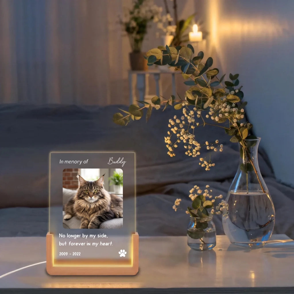 LED U Monochromatic light Custom Cat Portrait LED Memorial Plaque Cat Gifts for Bedroom Comfort