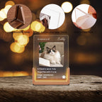Custom Cat Portrait LED Memorial Plaque Soft Bedroom Glow
