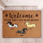 Welcome, Please Don't Step On My Wiener - Funny Personalized Decorative Mat, Doormat 688094 - DiyGiftly