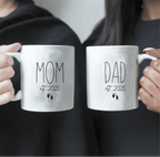 welcome your little princess mug for dad personalized gift