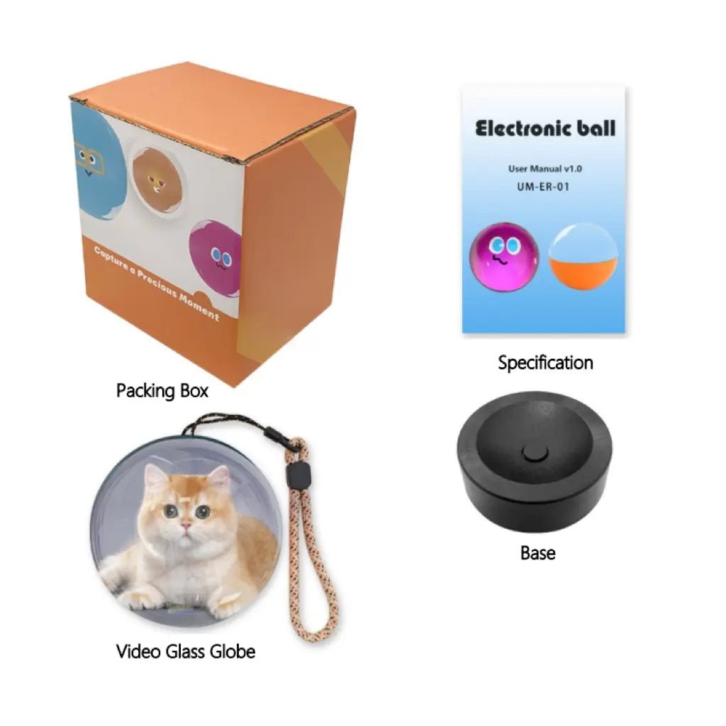 WiFi Version Mobile App Direct Video & Photo Transfer Playable Glass Globe Christmas Gift Birthday Gift (Production time: 10 - 20 days) - DiyGiftly