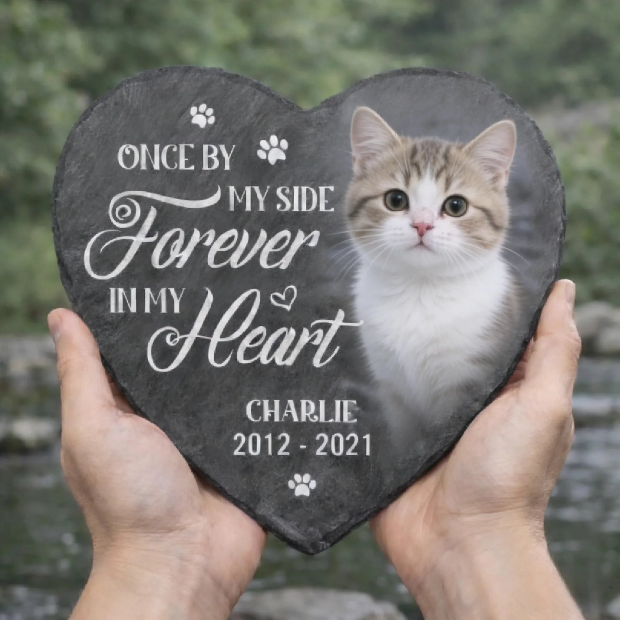 outdoor cat memorial stone with photo