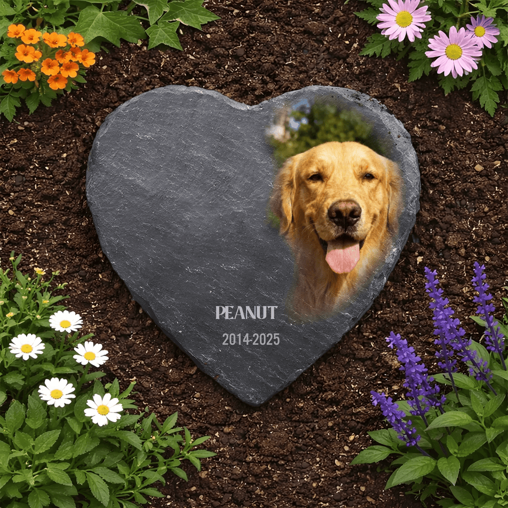 You Would Have Lived Forever Memorial Stone Loss of Dog Gift for Garden or Home Custom Photo Sympathy Keepsake