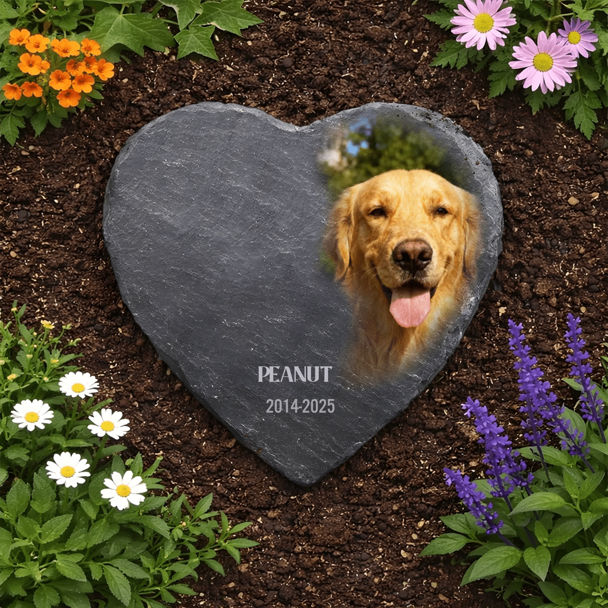 You Would Have Lived Forever Memorial Stone Loss of Dog Gift for Garden or Home Custom Photo Sympathy Keepsake
