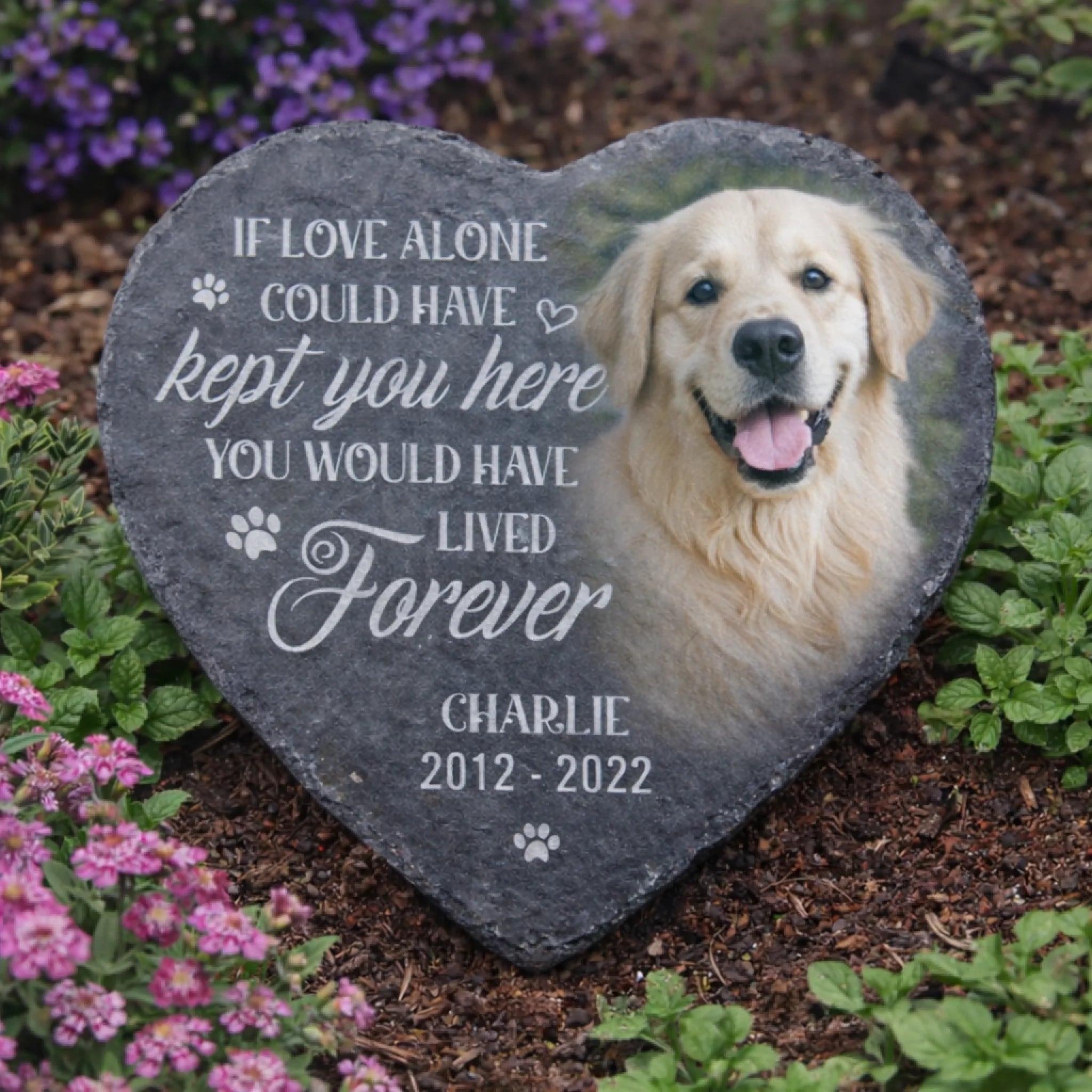 Memorial Stone Stone You Would Have Lived Forever Memorial Stone Personalized Dog Tribute Slate Plaque Custom Photo Sympathy