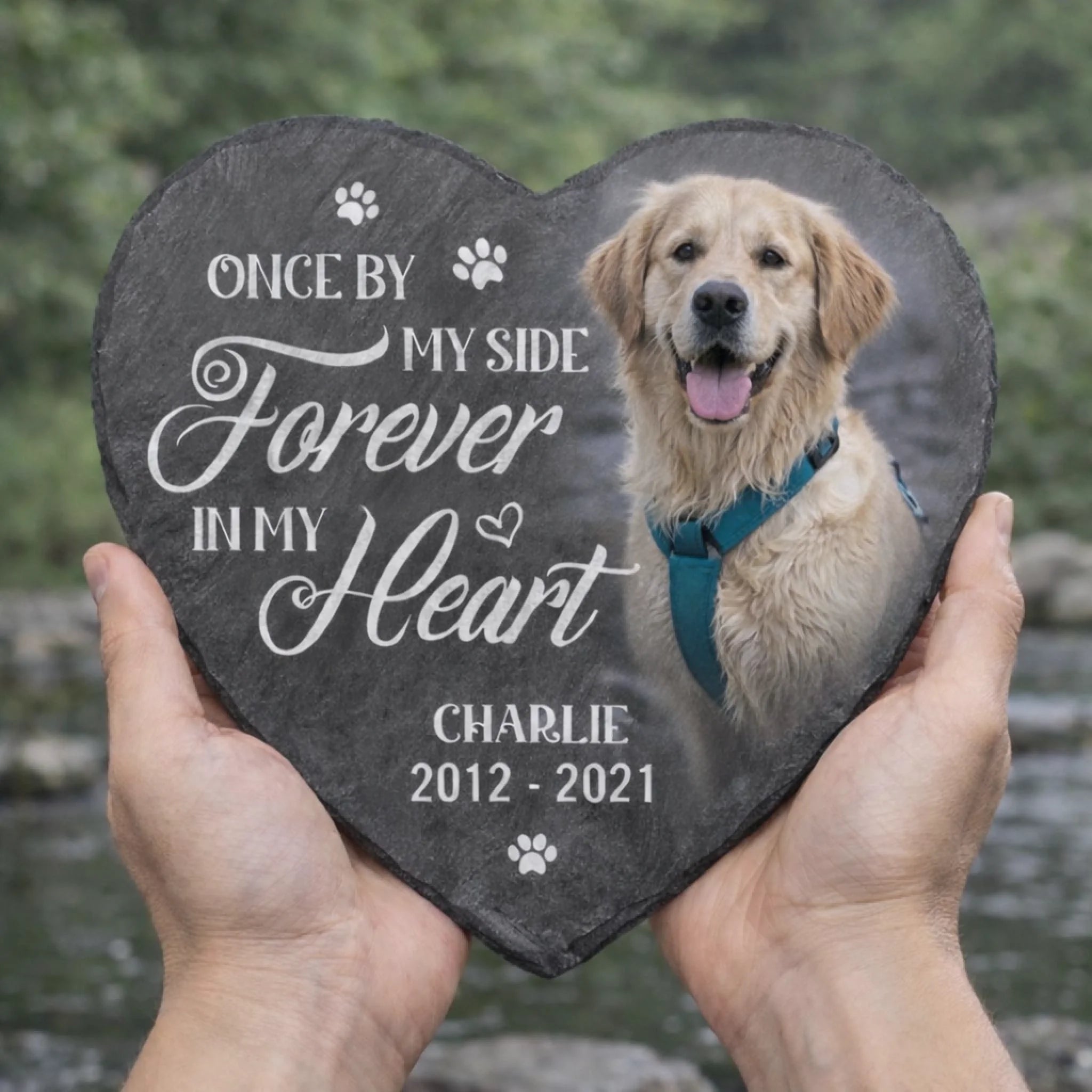 Personalized Dog Tribute Slate Plaque You Would Have Lived Forever Memorial Stone Loss of Dog Gift for Garden or Home