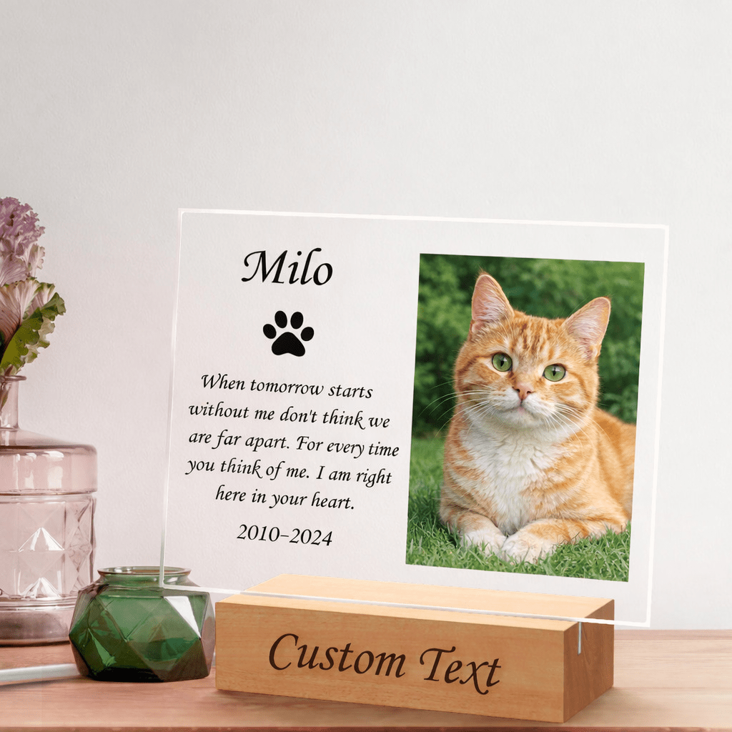 personalized cat memorial night light
