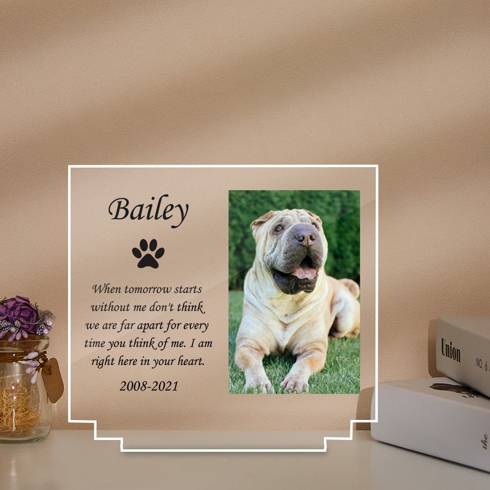 custom photo cat memorial acrylic lamp