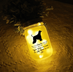 Your Light Will Always Shine In My Heart - Memorial Personalized Custom Mason Jar Light - Sympathy Gift For Pet Owners, Pet Lovers 98960896 - DiyGiftly