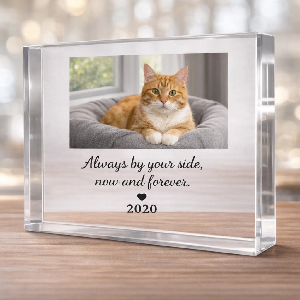 clear 3d cat memorial block