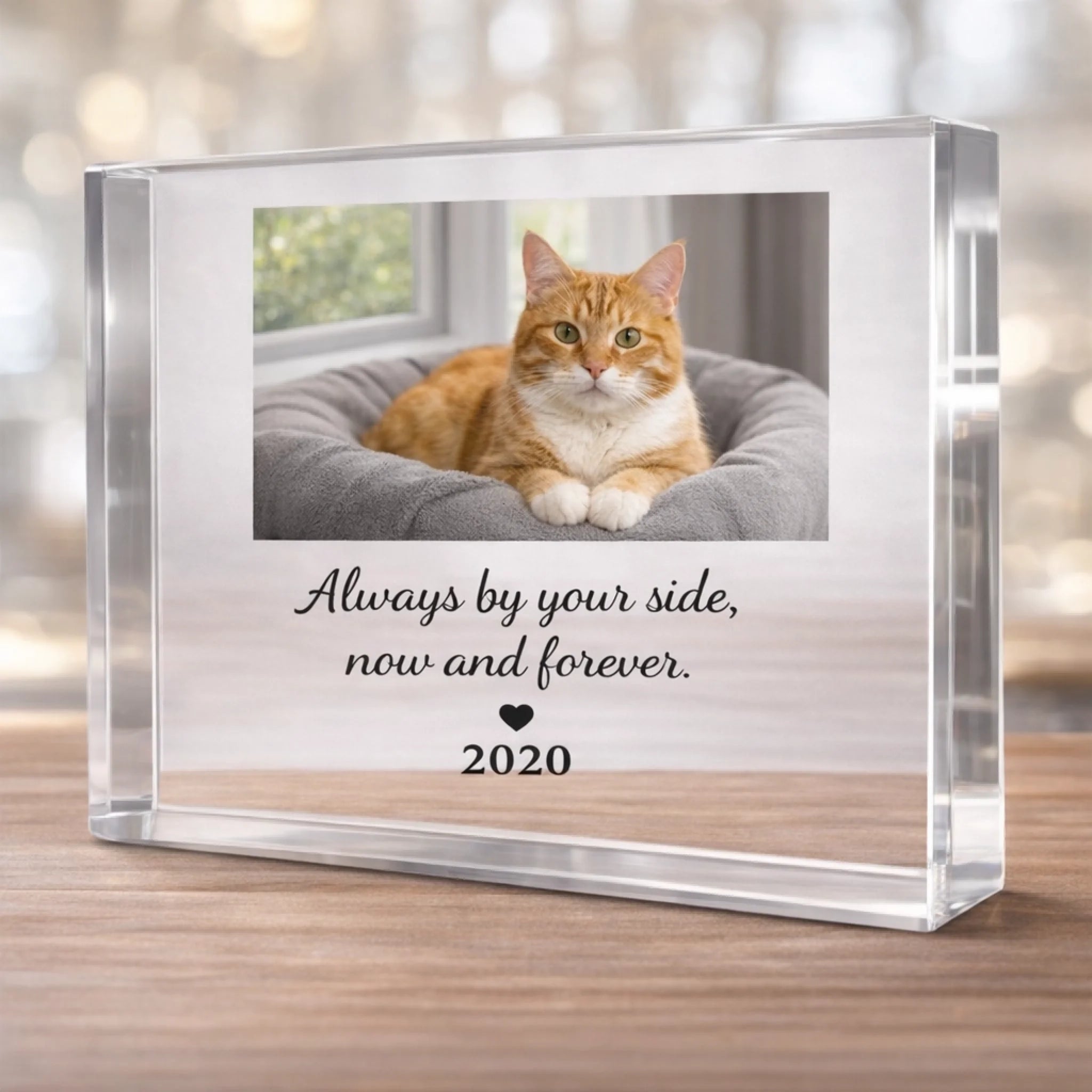 clear 3d cat memorial block